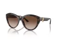 Jimmy Choo Slnečné okuliare JC 5007 500213