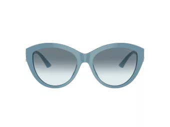 Jimmy Choo Slnečné okuliare JC 5007 501219