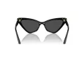 Jimmy Choo Slnečné okuliare JC 5008 500087