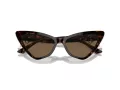 Jimmy Choo Slnečné okuliare JC 5008 500273