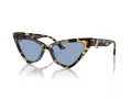 Jimmy Choo Slnečné okuliare JC 5008 500472