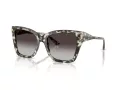 Jimmy Choo Slnečné okuliare JC 5012 50688G