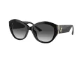 Jimmy Choo Slnečné okuliare JC 5013U 50008G