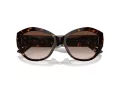 Jimmy Choo Slnečné okuliare JC 5013U 500213
