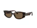 Jimmy Choo Slnečné okuliare JC 5015U 500273