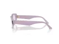 Jimmy Choo Slnečné okuliare JC 5015U 50211A