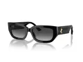 Jimmy Choo Slnečné okuliare JC 5017 50008G