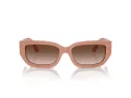 Jimmy Choo Slnečné okuliare JC 5017 503213