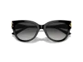 Jimmy Choo Slnečné okuliare JC 5018U 50008G