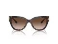 Jimmy Choo Slnečné okuliare JC 5018U 500213