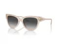 Jimmy Choo Slnečné okuliare JC 5018U 50258G