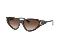 Jimmy Choo Slnečné okuliare JC 5019 500213