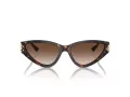 Jimmy Choo Slnečné okuliare JC 5019 500213