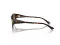 Jimmy Choo Slnečné okuliare JC 5019 500213