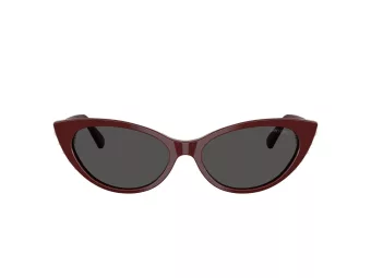 Jimmy Choo Slnečné okuliare JC 5023H 505787