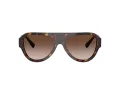 Jimmy Choo Slnečné okuliare JC 5027 500213