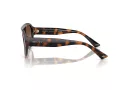 Jimmy Choo Slnečné okuliare JC 5027 500213