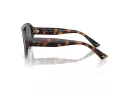 Jimmy Choo Slnečné okuliare JC 5027 50028F
