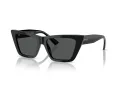 Jimmy Choo Slnečné okuliare JC 5028 500087