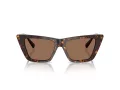 Jimmy Choo Slnečné okuliare JC 5028 500273