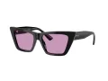 Jimmy Choo Slnečné okuliare JC 5028 501769