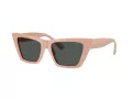 Jimmy Choo Slnečné okuliare JC 5028 501987