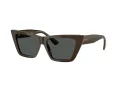 Jimmy Choo Slnečné okuliare JC 5028 506087