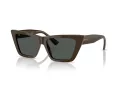 Jimmy Choo Slnečné okuliare JC 5028 506087