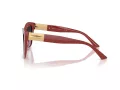Jimmy Choo Slnečné okuliare JC 5031 50138G
