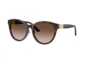 Jimmy Choo Slnečné okuliare JC 5032D 50028G