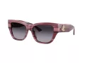 Jimmy Choo Slnečné okuliare JC 5039BU 50648G