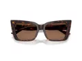 Jimmy Choo Slnečné okuliare JC 5041 500273
