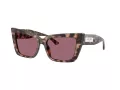 Jimmy Choo Slnečné okuliare JC 5041 50701A