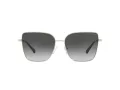 Michael Kors Bastia Slnečné okuliare MK 1108 1014/8G