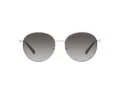 Michael Kors Alpine Slnečné okuliare MK 1119 1014/8G