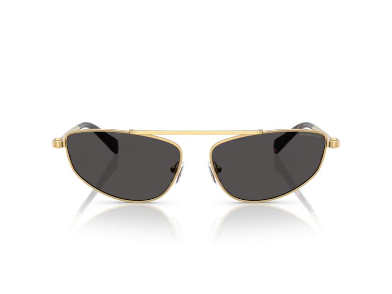 Michael Kors Buenos Aires Slnečné okuliare MK 1164 189687