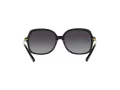 Michael Kors Adrianna Ii Slnečné okuliare MK 2024 3160/11