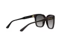 Michael Kors San Marino Slnečné okuliare MK 2163 3500/8G