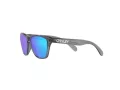 Oakley Frogskins Xxs Slnečné okuliare OJ 9009 02