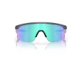 Oakley Resistor Slnečné okuliare OJ 9010 16