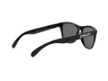 Oakley Frogskins Slnečné okuliare OO 9013 24-306