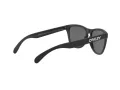 Oakley Frogskins Slnečné okuliare OO 9013 F7