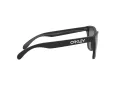 Oakley Frogskins Slnečné okuliare OO 9013 F7