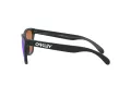 Oakley Frogskins Slnečné okuliare OO 9013 H6