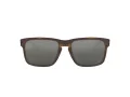 Oakley Holbrook Slnečné okuliare 9102 F4