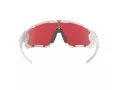 Oakley Jawbreaker Slnečné okuliare OO 9290 21