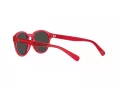 Polo Slnečné okuliare PP 9505U 609787