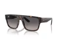 Ray-Ban Drifter Slnečné okuliare RB 0360S 902/M3