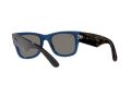 Ray-Ban Mega Wayfarer Slnečné okuliare RB 0840S 6638/O4