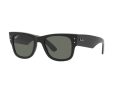 Ray-Ban Mega Wayfarer Slnečné okuliare RB 0840S 901/58